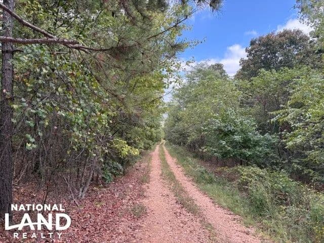 Hunting Land Mountain View, AR - Pleasant Grove, Arkansas, 72567