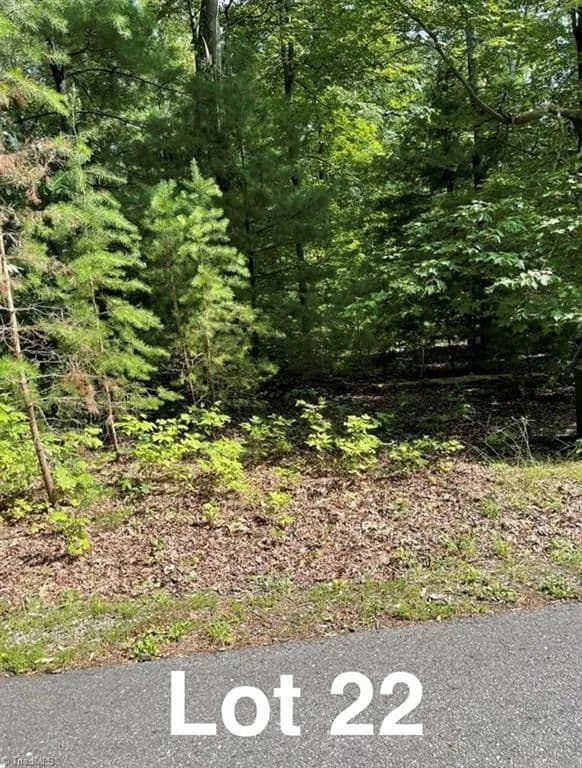 Vacant Land in Stuart - Stuart, Virginia, 24171