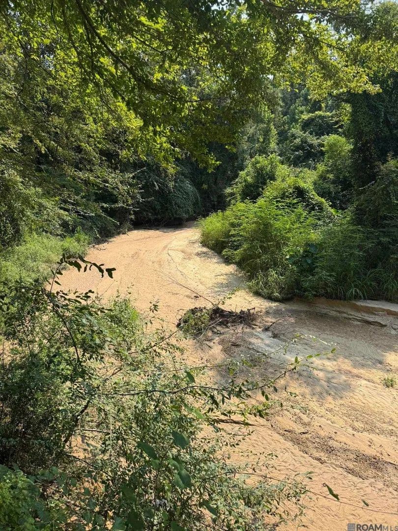 Lots & Land-Other in St Francisville