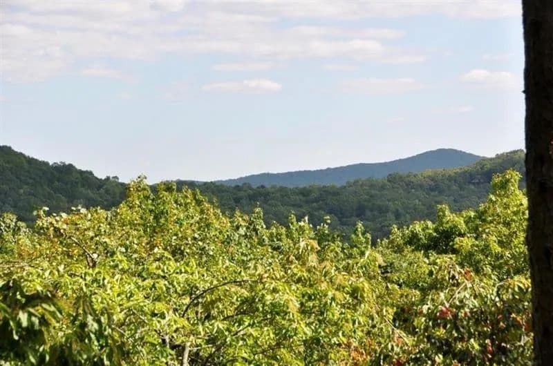 Land -Single Family Acreage in Big Canoe