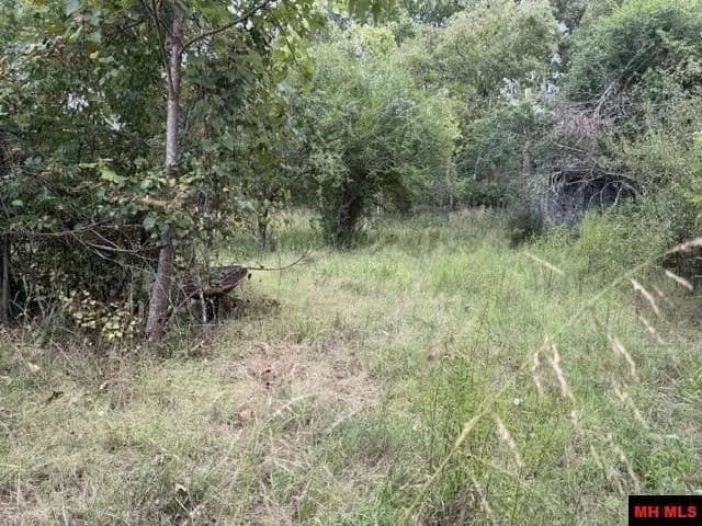Lots & Land-Other in Salesville - Salesville, Arkansas, 72653