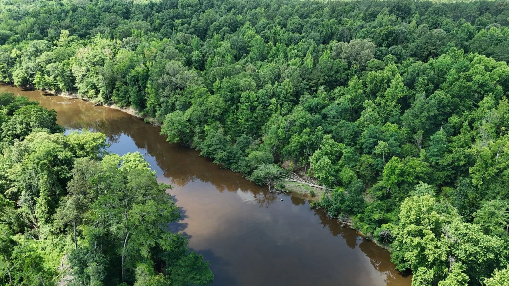 Saline River Tract 6 - 136+/- Acres - Lacey, Arkansas, 71675