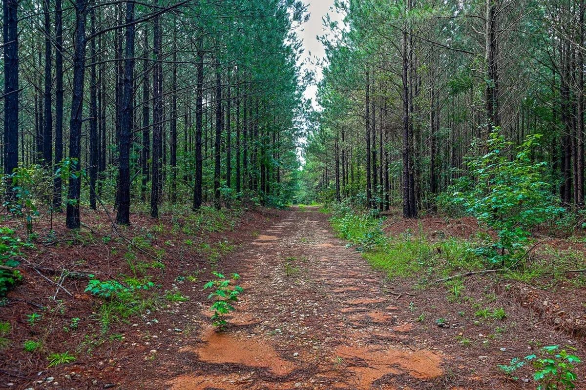 Rush Creek Farms at Texas Chapel - land for sale