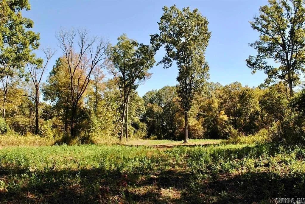 Lots & Land-Other in Perryville - Perryville, Arkansas, 72126