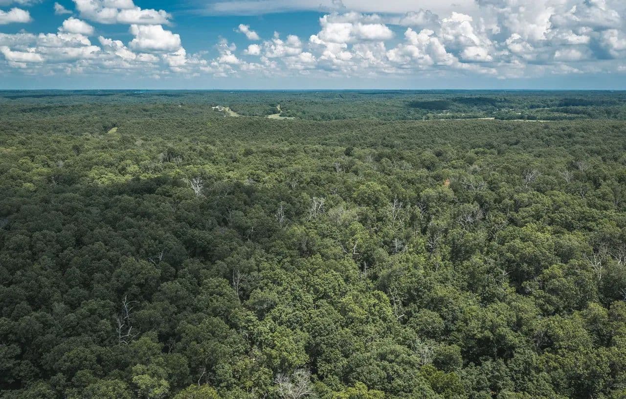 Geronimo Springs Woods-Tract 6 - Macks Creek, Missouri, 65786
