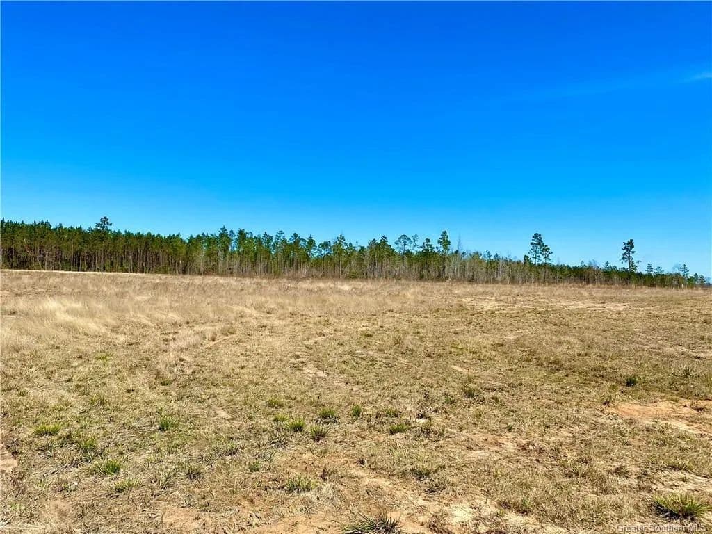 Lots & Land-Other in DeQuincy - Dequincy, Louisiana, 70633