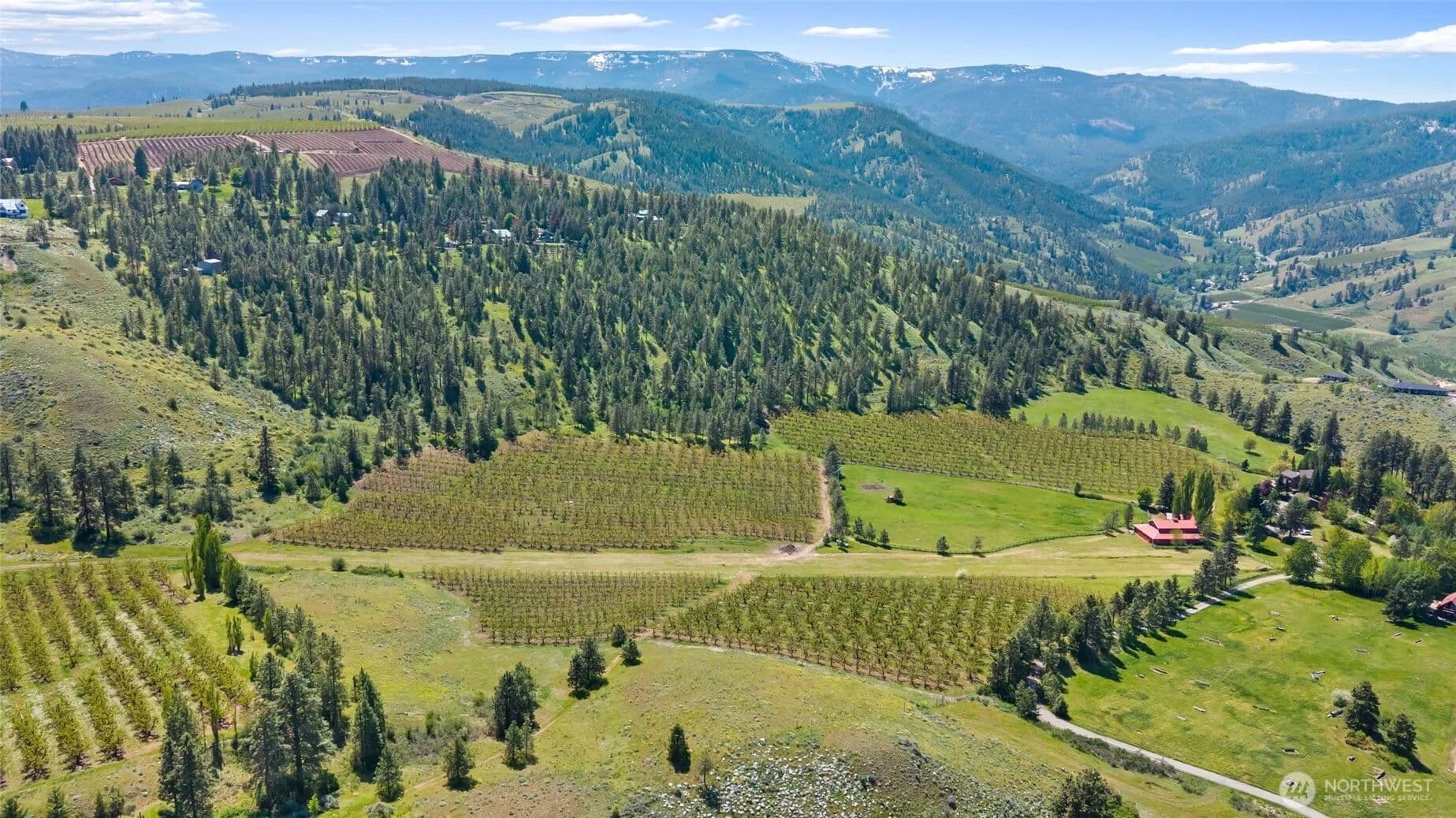 67.85 Acres of Land for Sale in Wenatchee, WA - Wenatchee, Washington, 98801