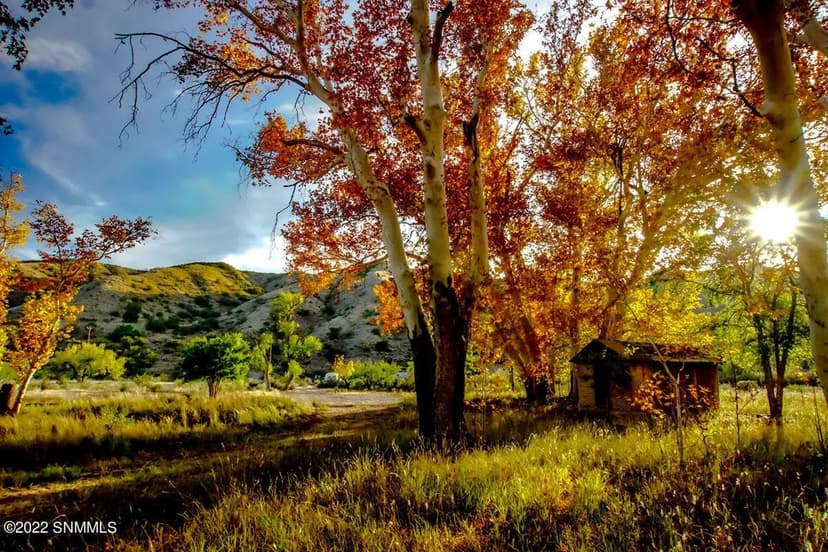 Property from 360 Animas Creek Road - KW