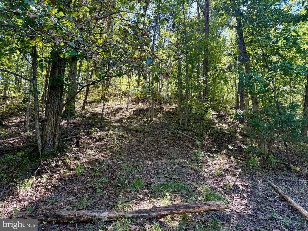 Vacant Land in Maurertown - Maurertown, Virginia, 22644