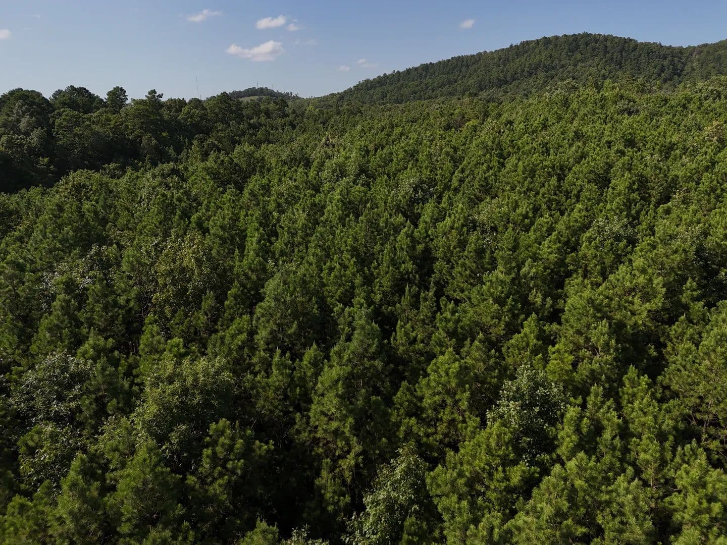 Land -Single Family Acreage in Mena - Mena, Arkansas, 71953