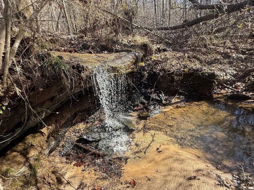 Martin Farm / 88 acres