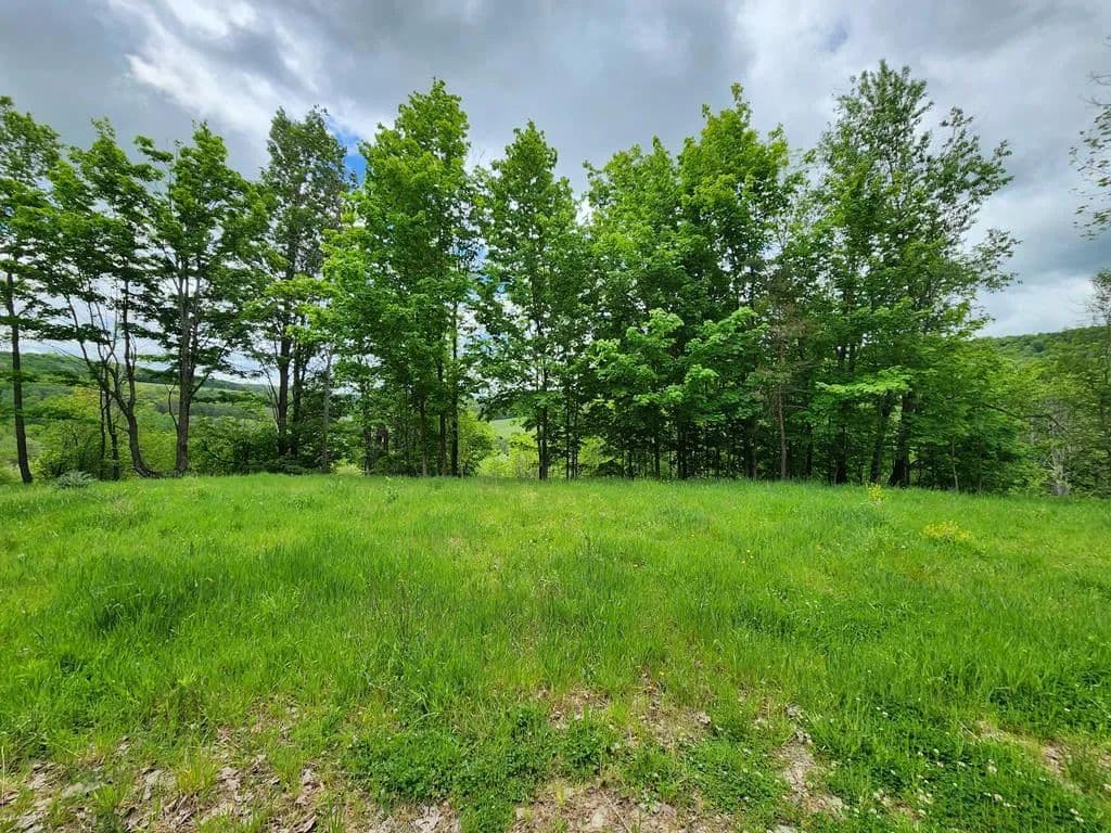 Property from 77 Sperry Young Rd - KW - Sabinsville, Pennsylvania, 16943