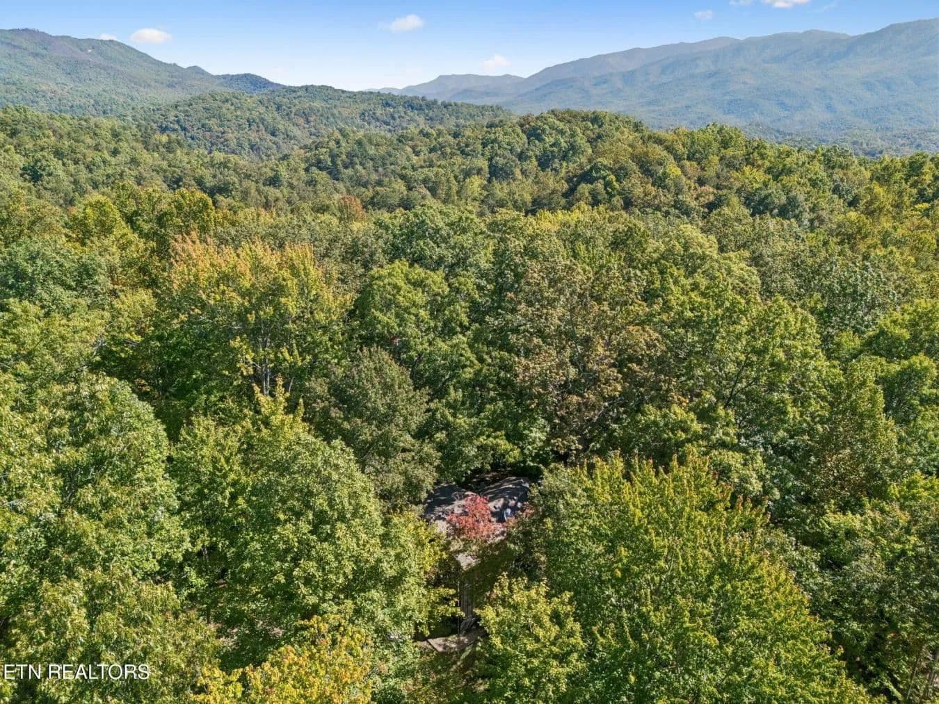 Smoky Mountain Luxury Wellness Cabin - Pigeon Forge, Tennessee, 37876