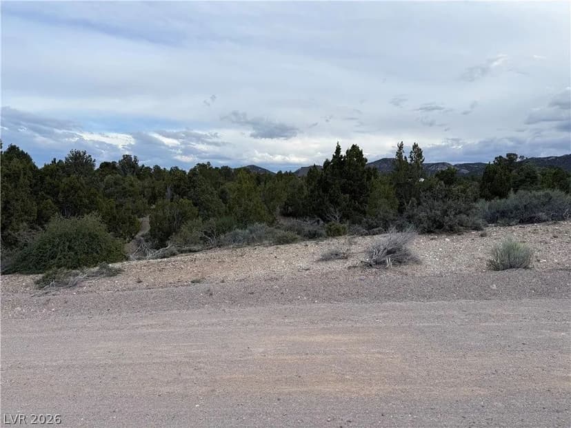 Lots & Land-Other in Pioche