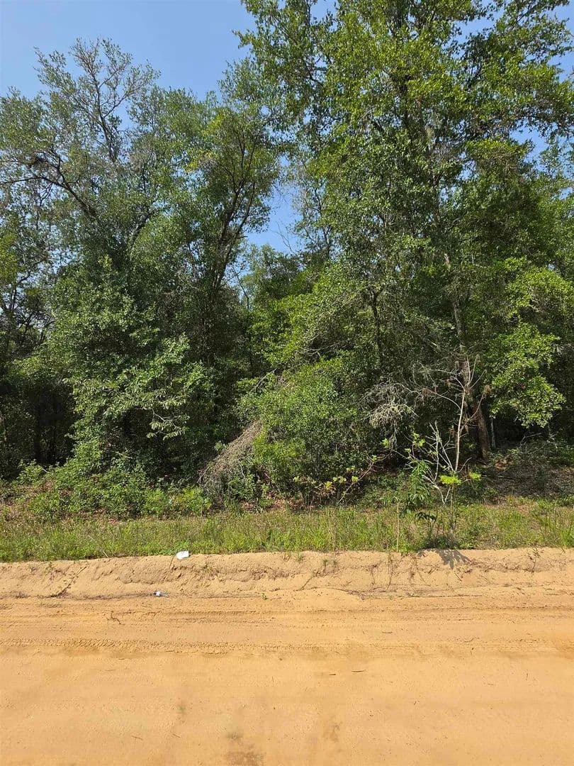 Vacant Land in Interlachen - Interlachen, Florida, 32148