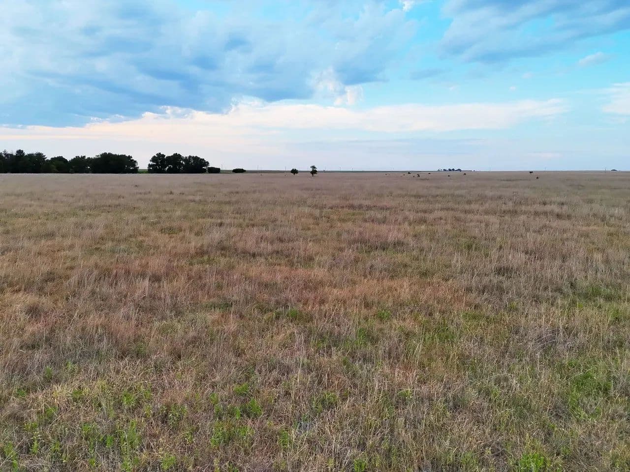 CRP Parcel with Producing Mineral Income - Liberal, Kansas, 67901