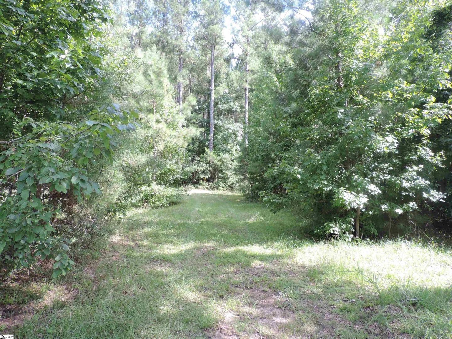 Vacant Land in Whitmire - Whitmire, South Carolina, 29178