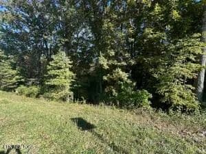 Lots & Land-Other in Rockwood