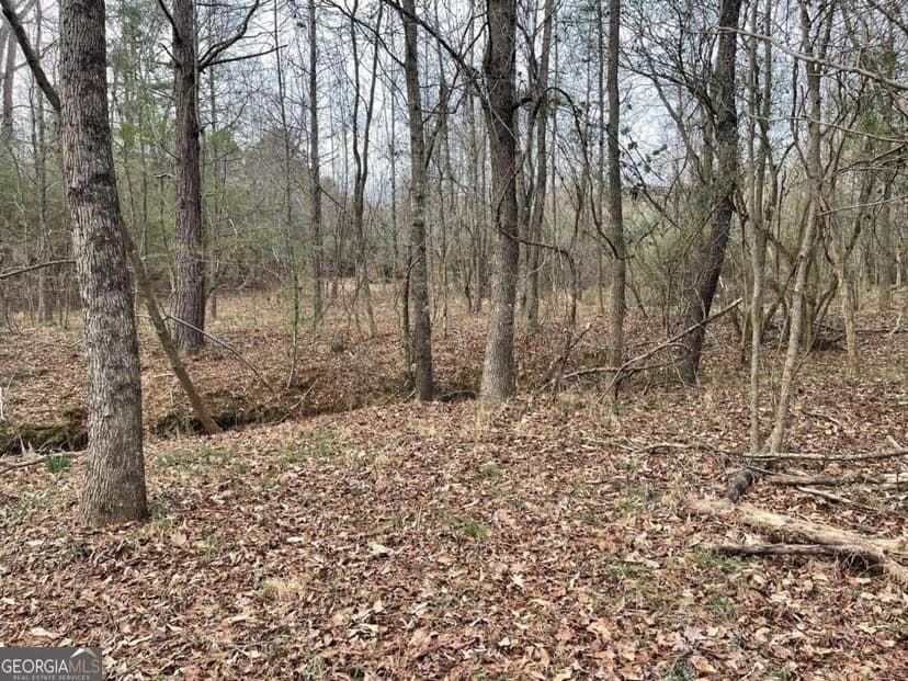 Vacant Land in Winder