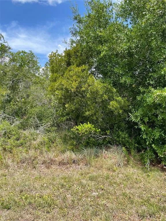 Vacant Land in Punta Gorda - Punta Gorda, Florida, 33982