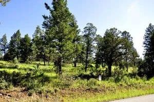 Land -Single Family Acreage in Ruidoso - Ruidoso, New Mexico, 88345