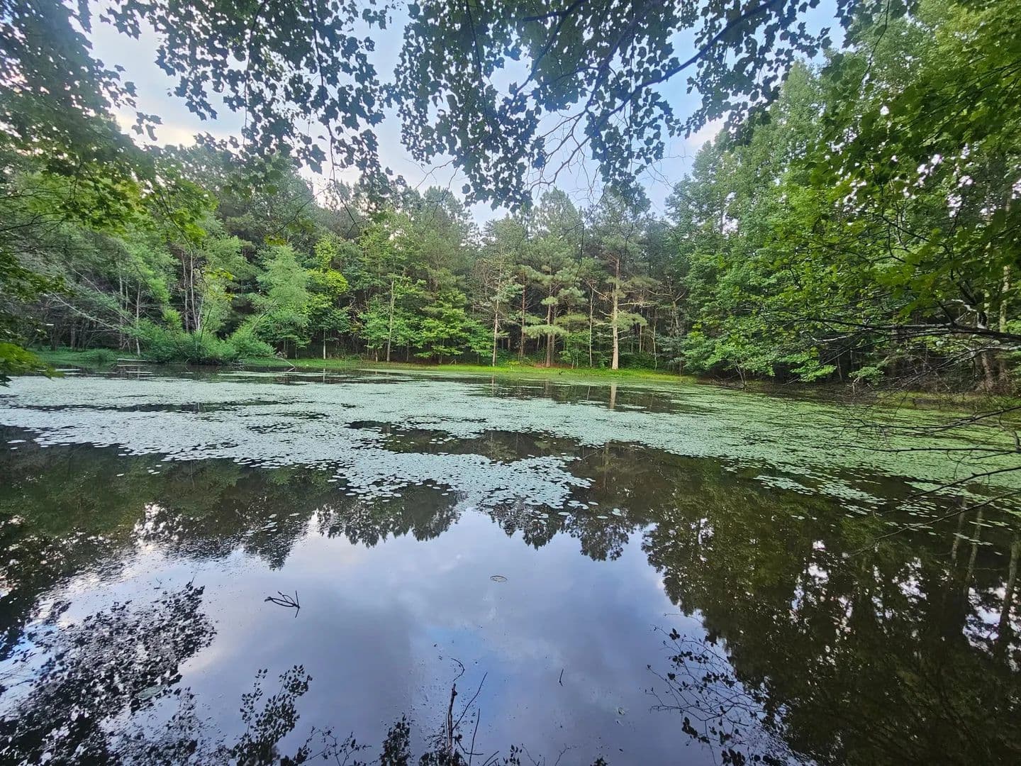 Mentone Hideaway 7ac. - Mentone, Alabama, 35984