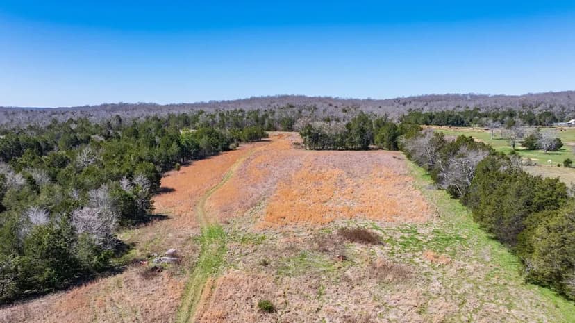 85.1 Acres With Great Development Potential Just Minutes To Spring Hill, TN!!