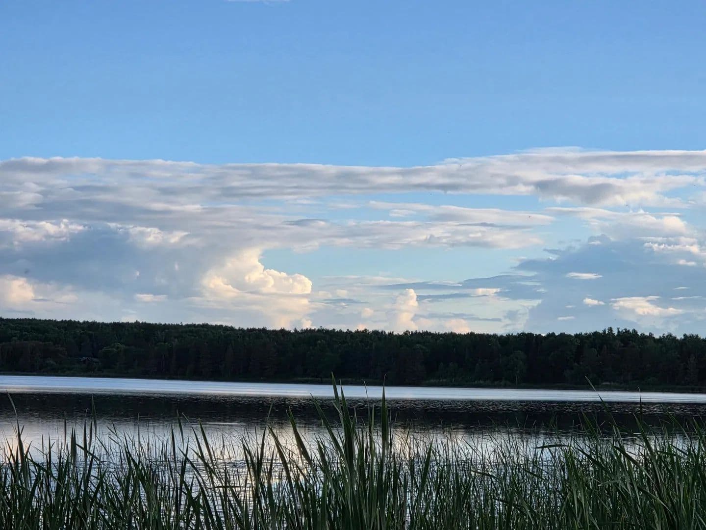 Lots & Land-Other in Bagley - Bagley, Minnesota, 56621