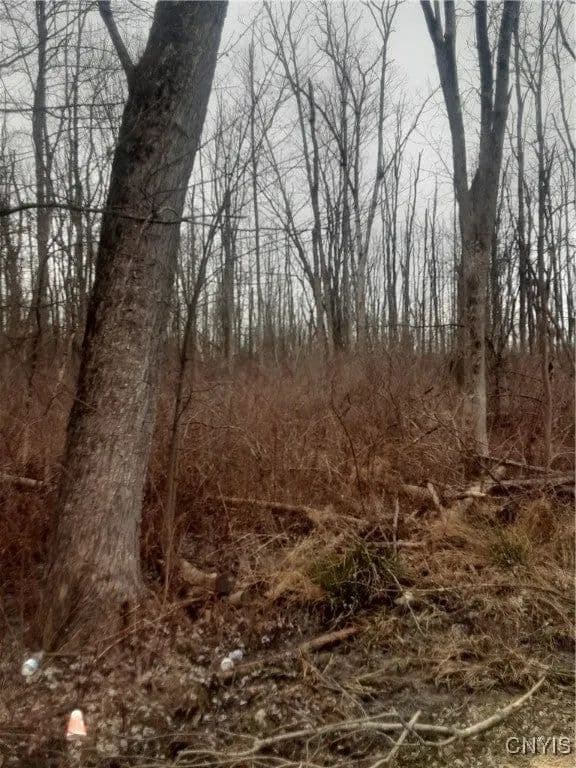 Lots & Land-Other in Canastota