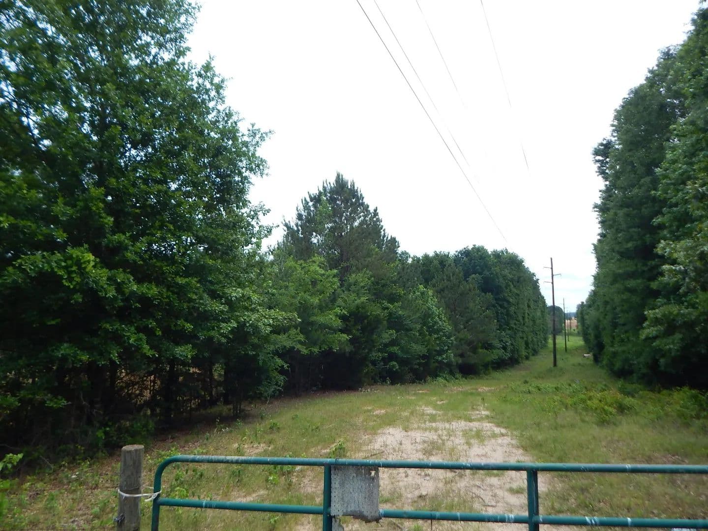 Vacant Land in Gilmer - Gilmer, Texas, 75645