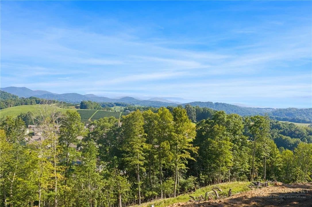 24.06 Acres of Land for Sale in Boone, NC - Boone, North Carolina, 28607