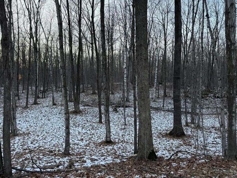 Vacant Land (10+ Acres) in Brussels