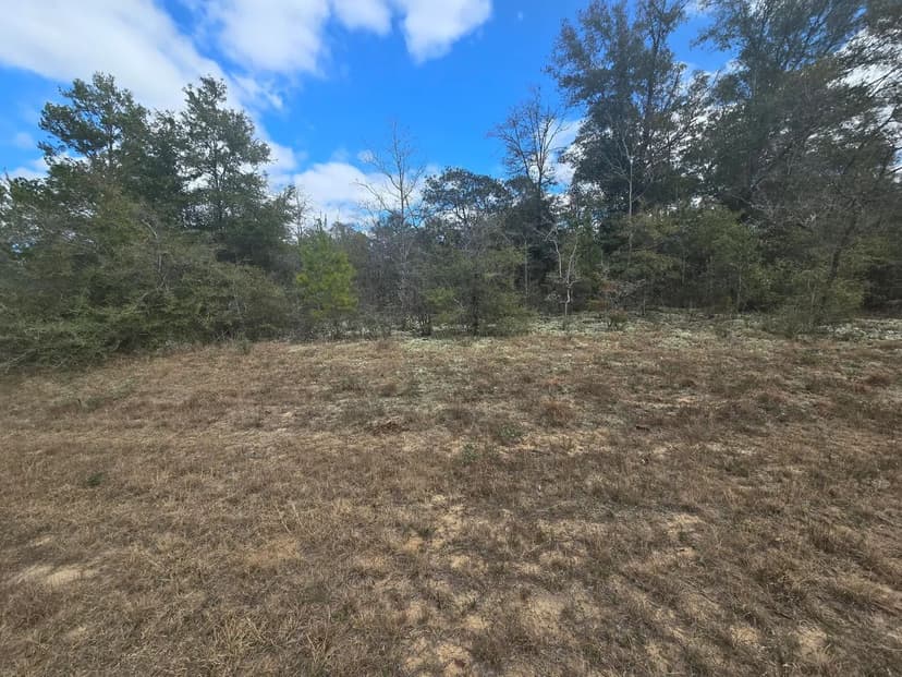 Vacant Land in Chipley