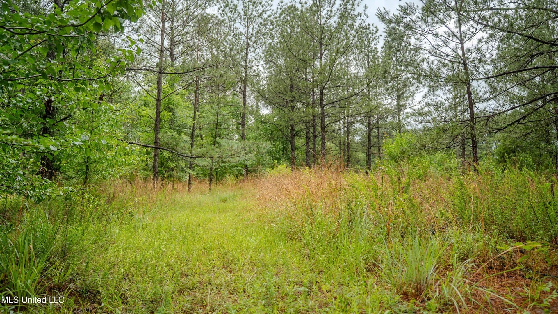 38 Acres of Land for Sale in Jackson, MS - Jackson, Mississippi, 39272