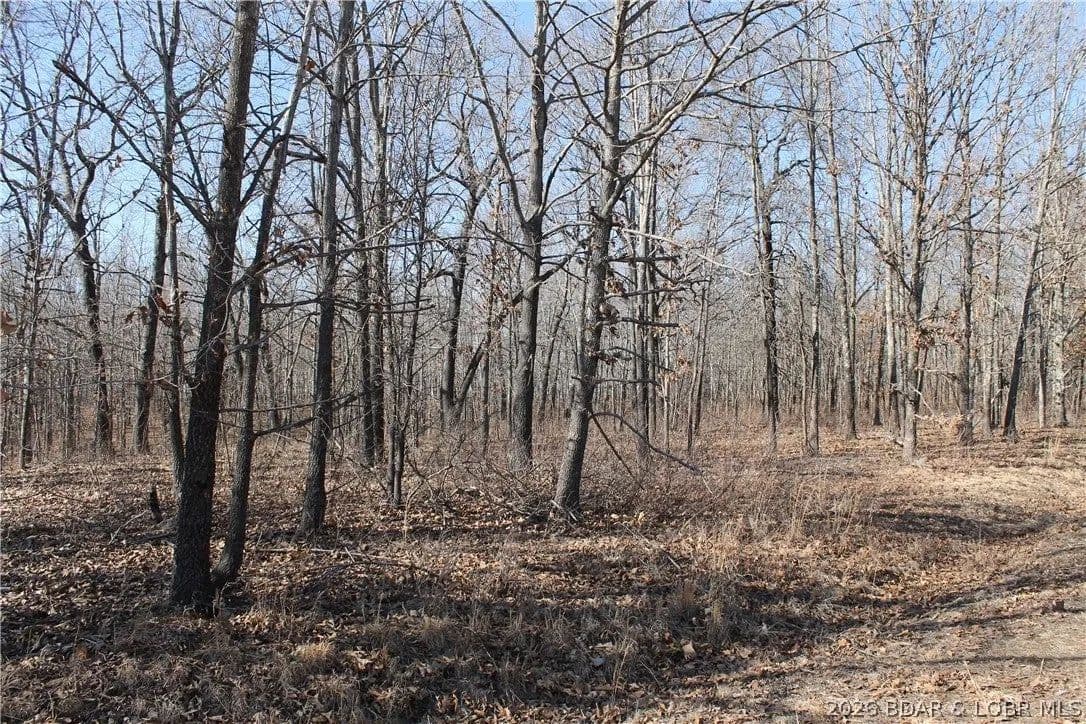 Lots & Land-Other in Edwards - Edwards, Missouri, 65326