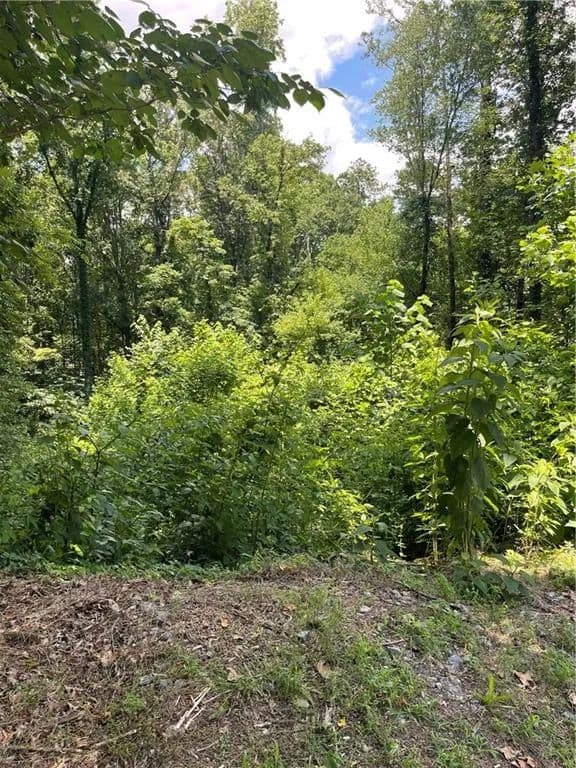 Vacant Land in Woodstock