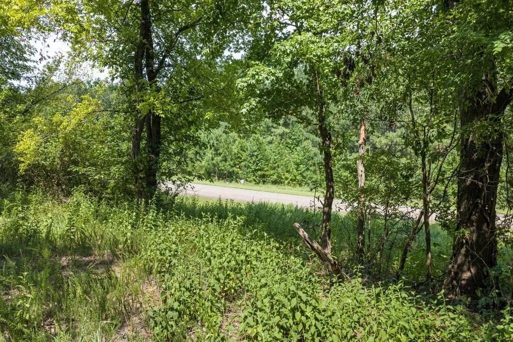Vacant Land in Clarksville - Clarksville, Virginia, 23927