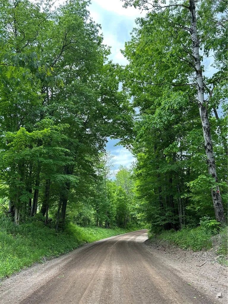 15.9 Acres of Land for Sale in Oneonta, NY - Oneonta, New York, 13820