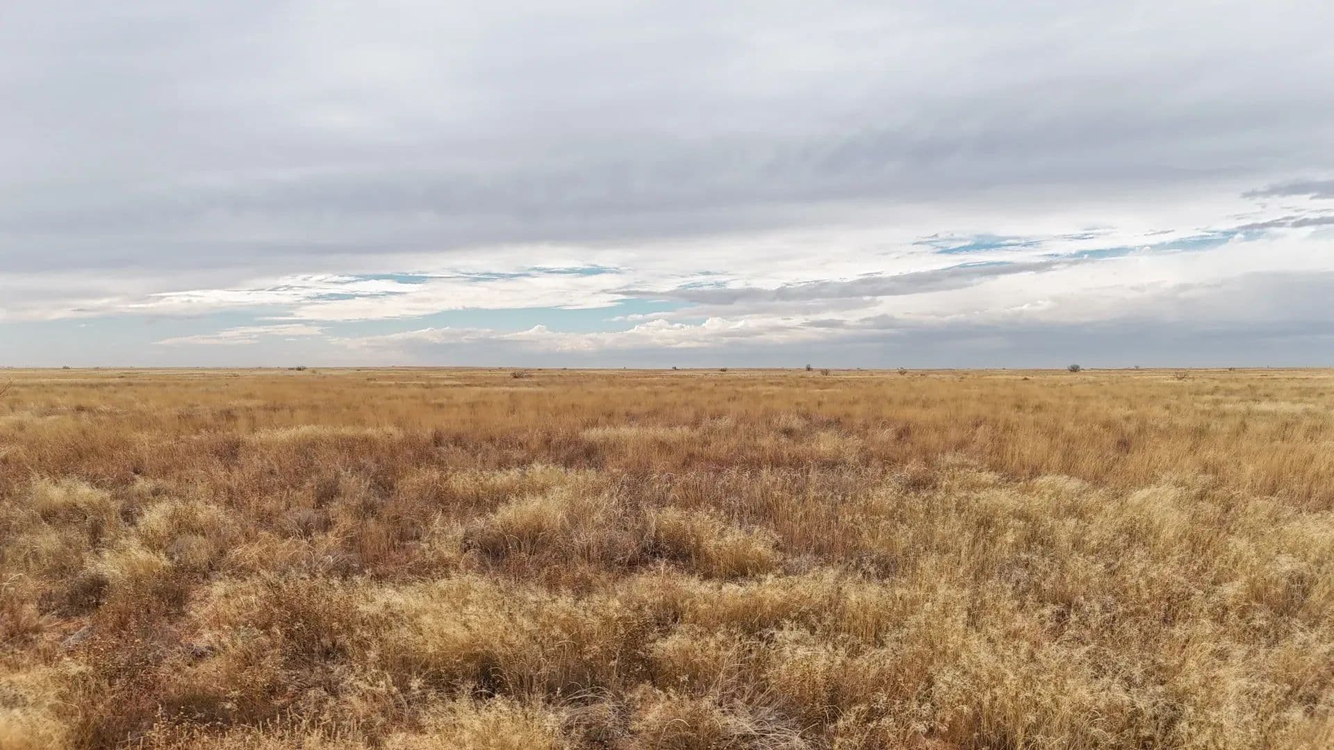 3300 Acres of Land for Sale in Seminole, TX - Seminole, Texas, 79360
