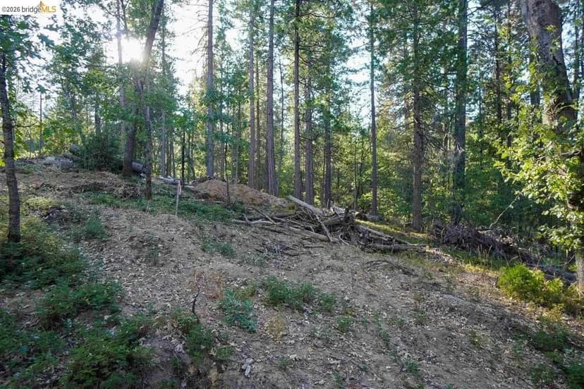 Lots & Land-Other in Hathaway Pines