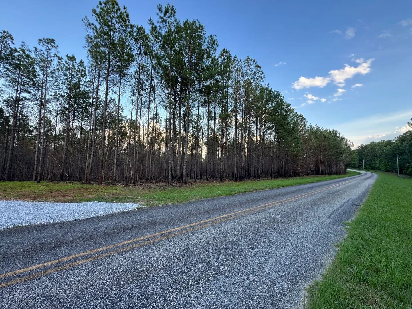 16.07 +/- AC  Close to Lake Martin, Barrons Bridge Rd, Tallapoosa County - Dadeville, Alabama, 36853