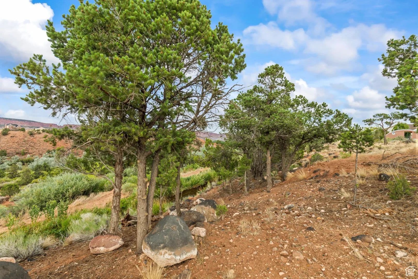 Land -Single Family Acreage in Torrey - Torrey, Utah, 84775