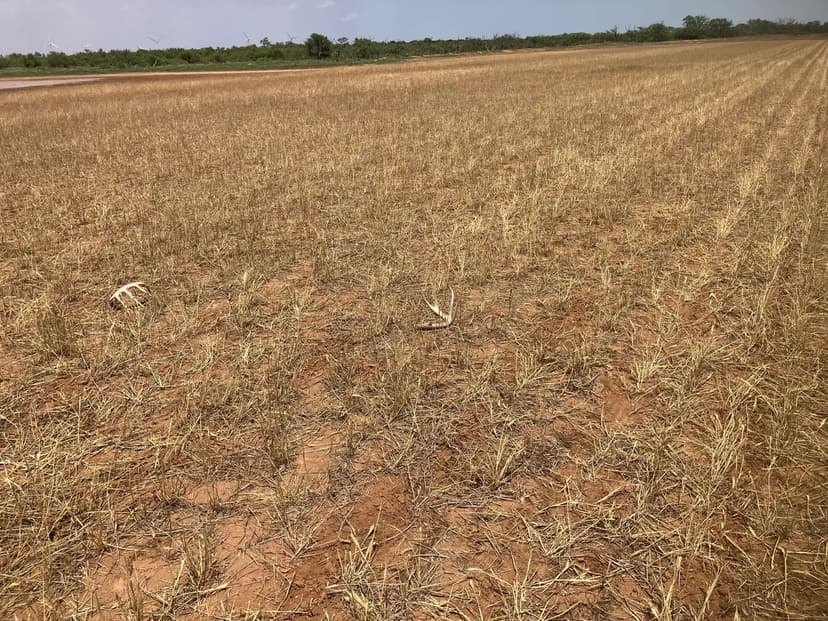 Property from CR 29 - KW