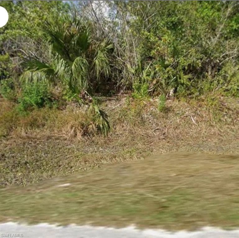 Vacant Land in Naples - Naples, Florida, 34120