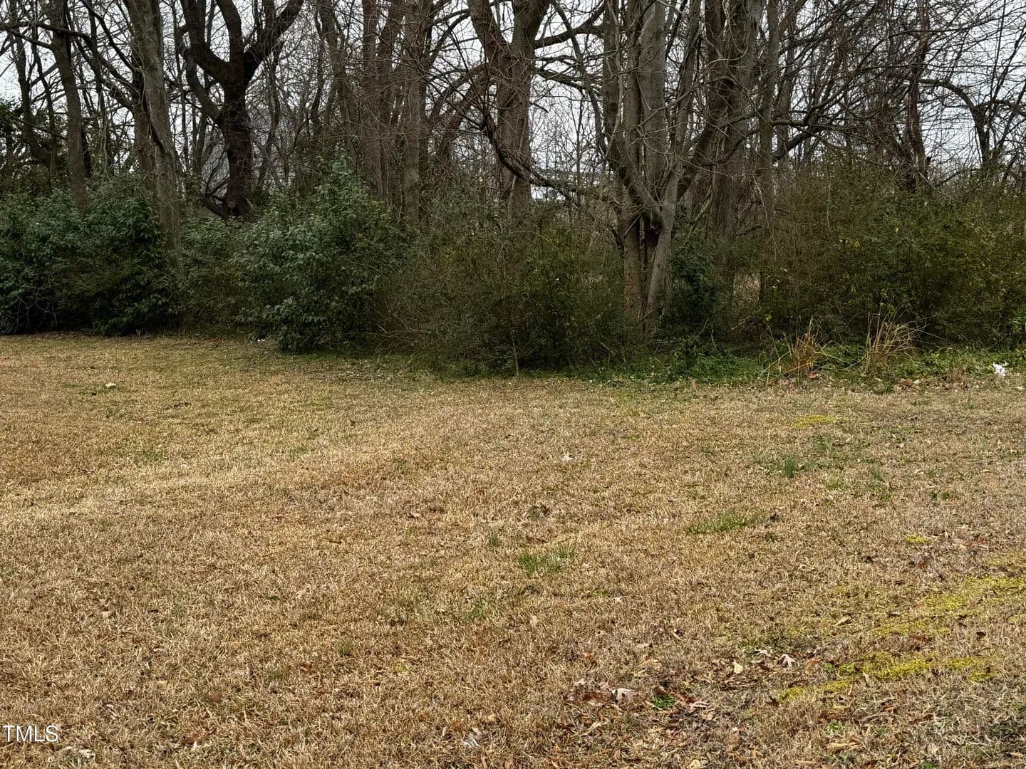 Vacant Land in Selma - land for sale