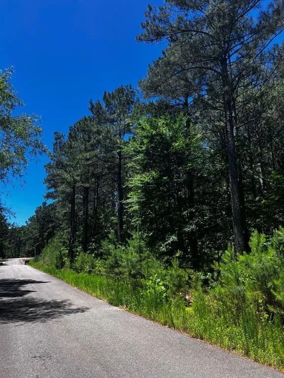 1.7 Acres of Land for Sale in Broken Bow, OK - Broken Bow, Oklahoma, 74728