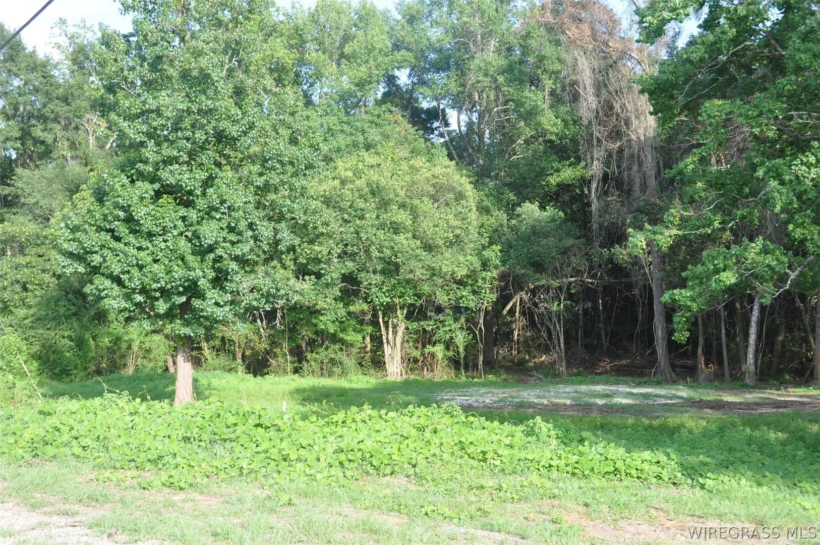 Vacant Land in Elba - Elba, Alabama, 36323