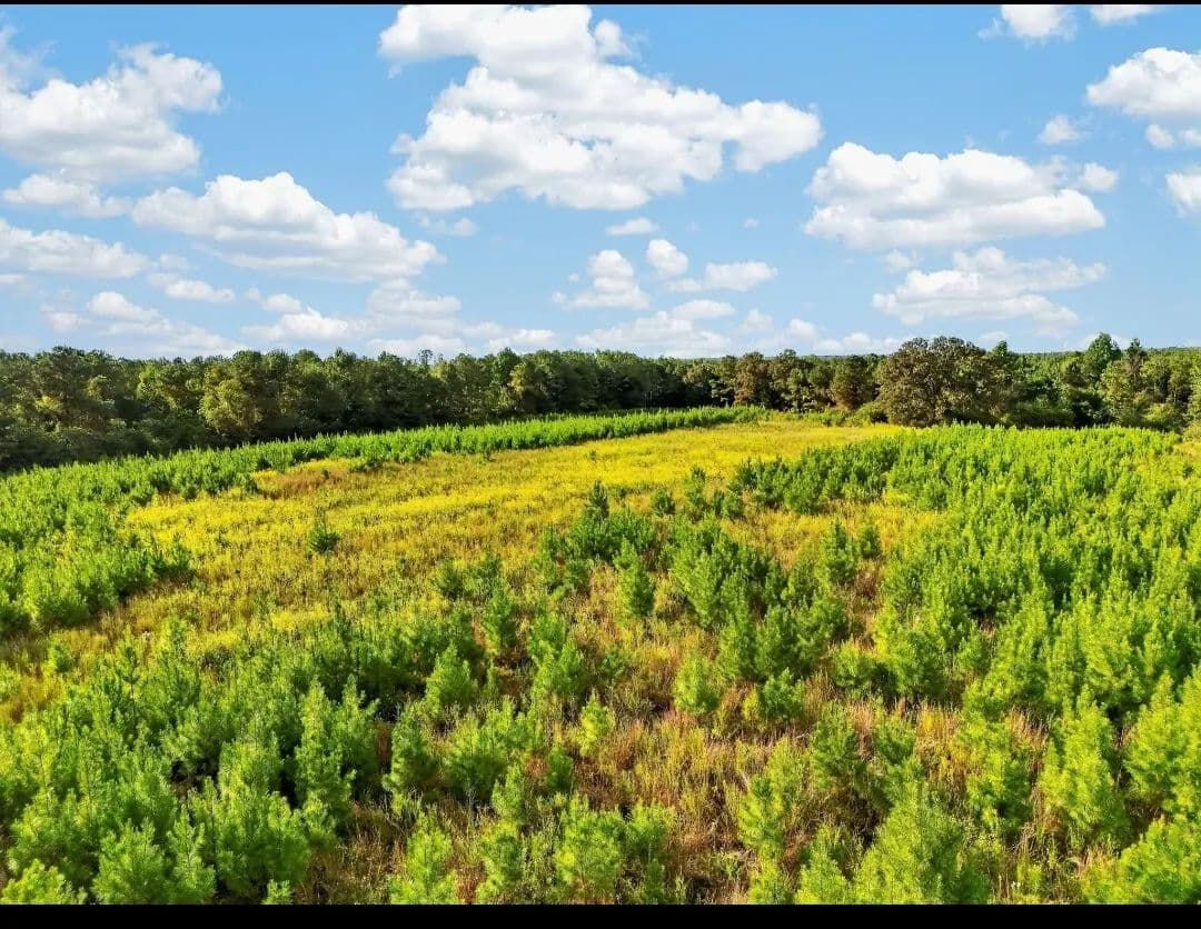 Maplesville/Co Rd 15 Recreational Property - Maplesville, Alabama, 36750