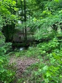 Property from 0 Log Cabin Rd Road - KW - Cumming, Georgia, 30028