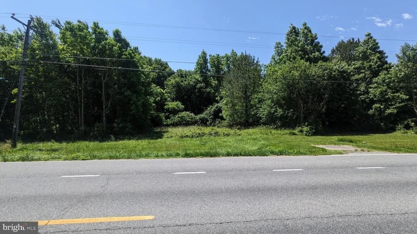 Lots & Land-Other in RHODESDALE